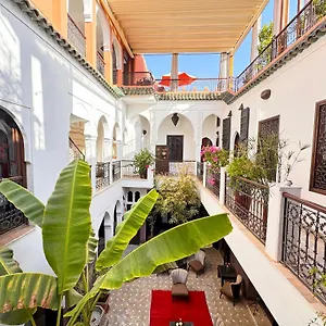 Aya Riad